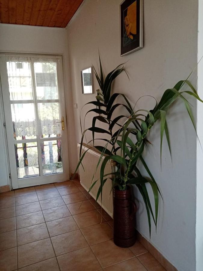 Tóra nyíló vendégház Bytom Extérieur photo